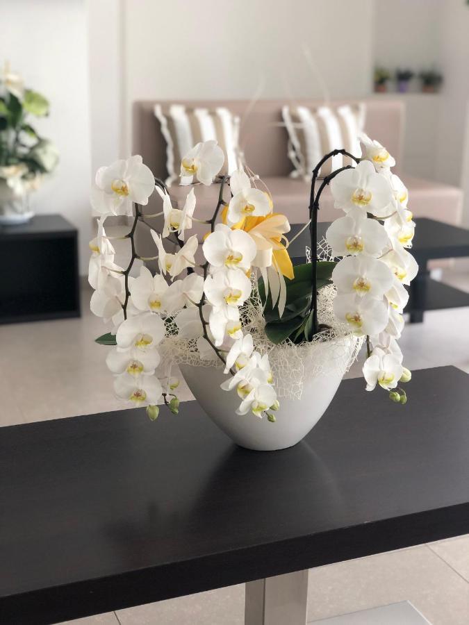 Hotel Carmen Riccione Eksteriør bilde
